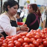 Precio del jitomate se dispara nuevamente, y no por Trump: ¿Por qué motivo es más caro en México y EU?