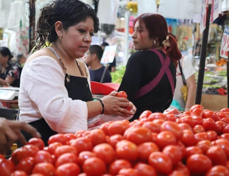 Precio del jitomate se dispara nuevamente, y no por Trump: ¿Por qué motivo es más caro en México y EU?
